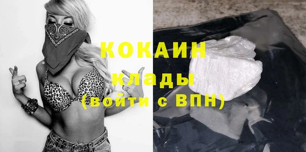 дурь Бронницы